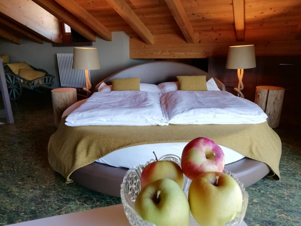 Horse House Bed & Breakfast Romallo