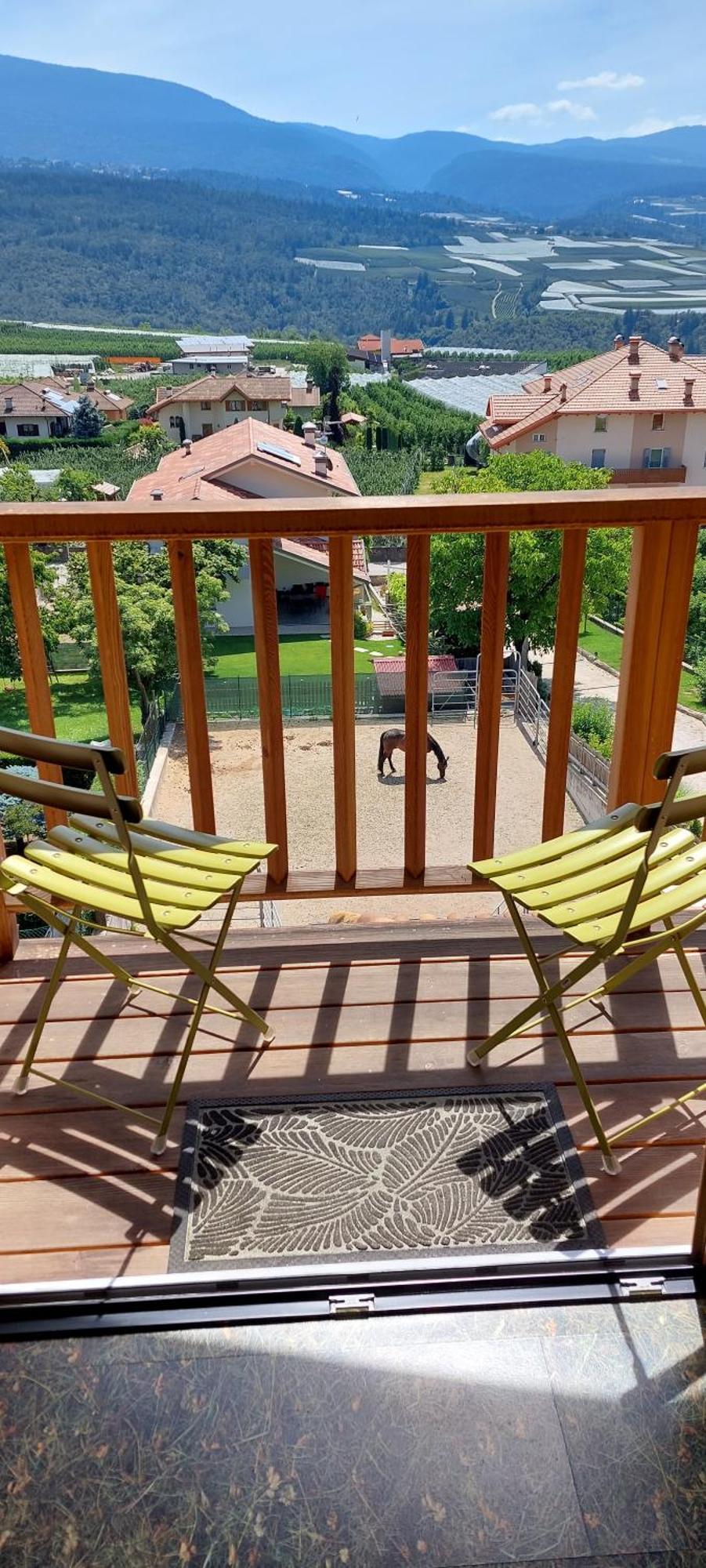 Bed & Breakfast Horse House