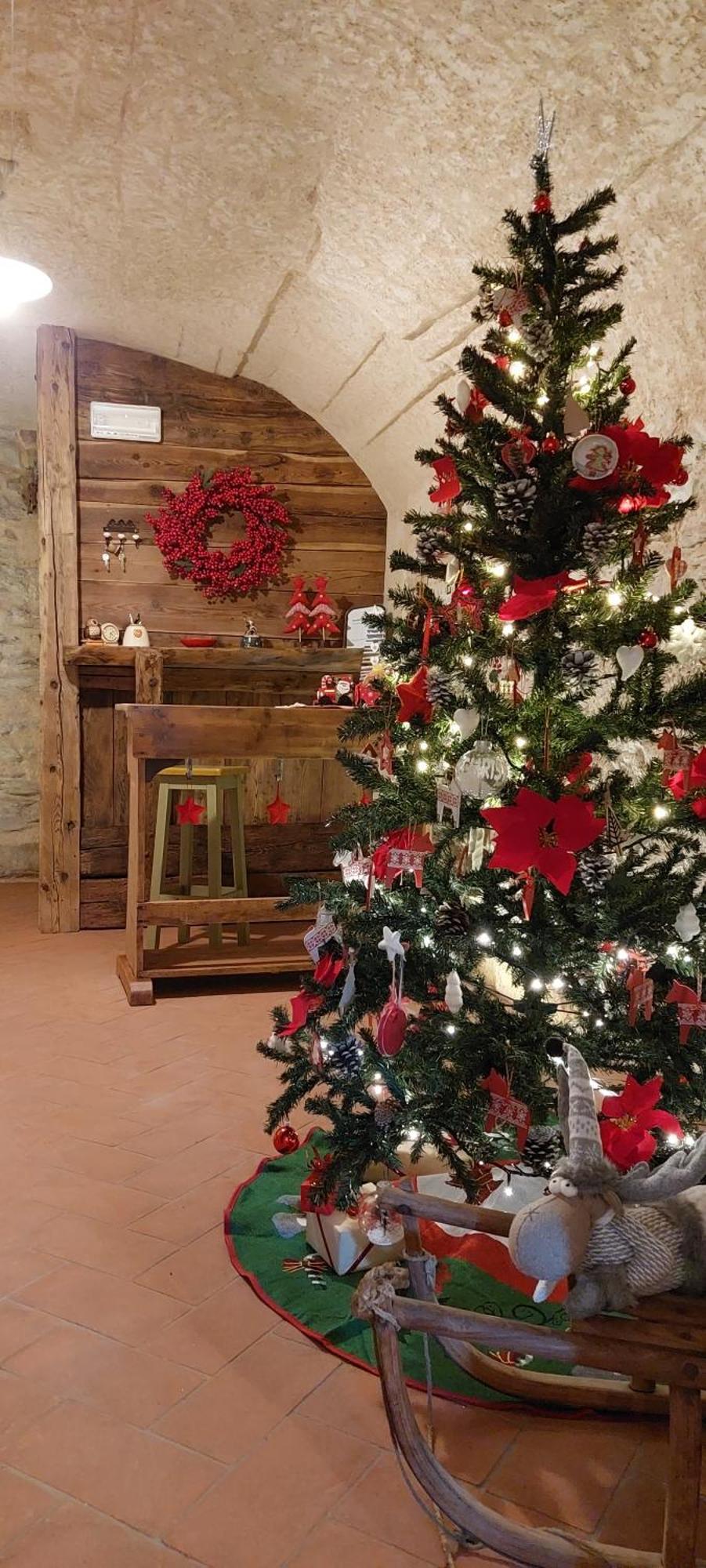 Horse House Bed & Breakfast *
