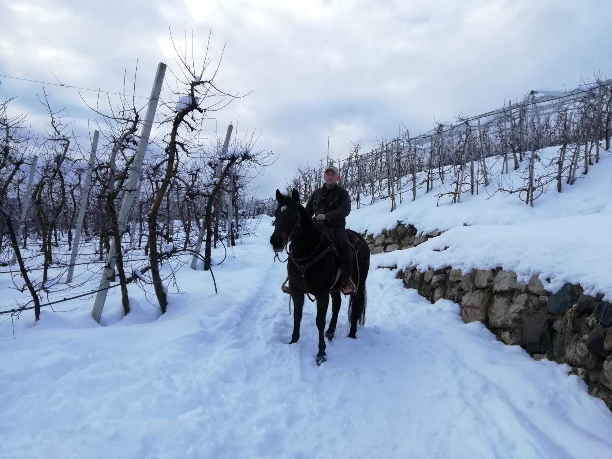 Horse House Bed & Breakfast Romallo